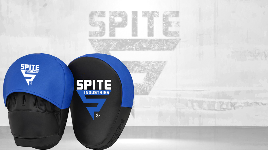 Focus Mitt Blue Focus Mitts - Image 1