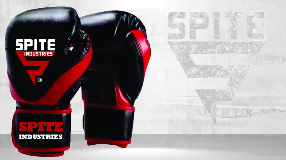 Gloves-5 Boxing Gloves - Image 1