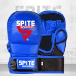 MMA Gloves