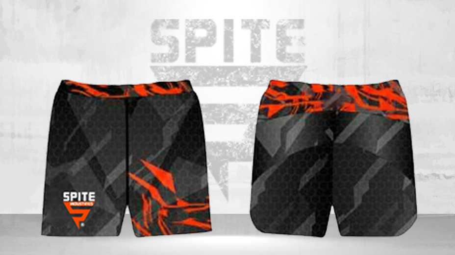 MMA SHort 2 MMA Shorts - Image 1