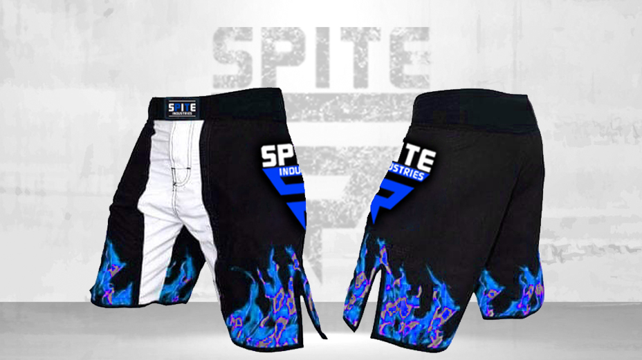 MMA Short 4 MMA Shorts - Image 1