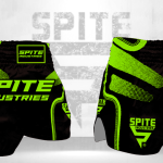 Muay Thai Shorts