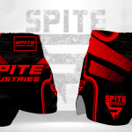 Muay Thai Shorts