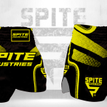 Muay Thai Shorts