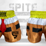 Muay Thai Shorts