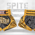 Muay Thai Shorts
