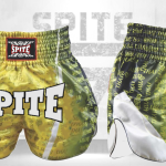 Muay Thai Shorts