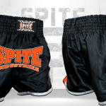 Muay Thai Shorts